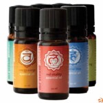 Mr. Steam Chakra Blend Essential Oil For Use with AromaSteam System, 7-Pack, 1 10mL Bottle of Each Fragrance