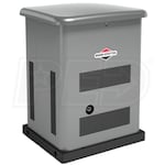 Briggs & Stratton 40628