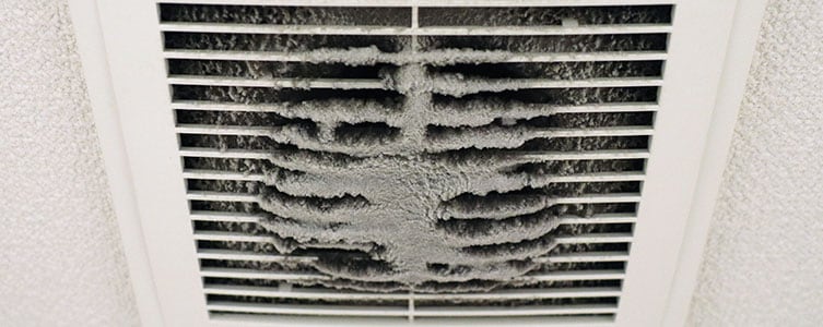 Dusty Intake Vent